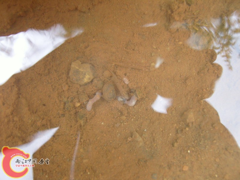 SNC10308.jpg