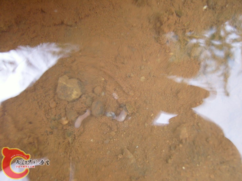 SNC10309.jpg