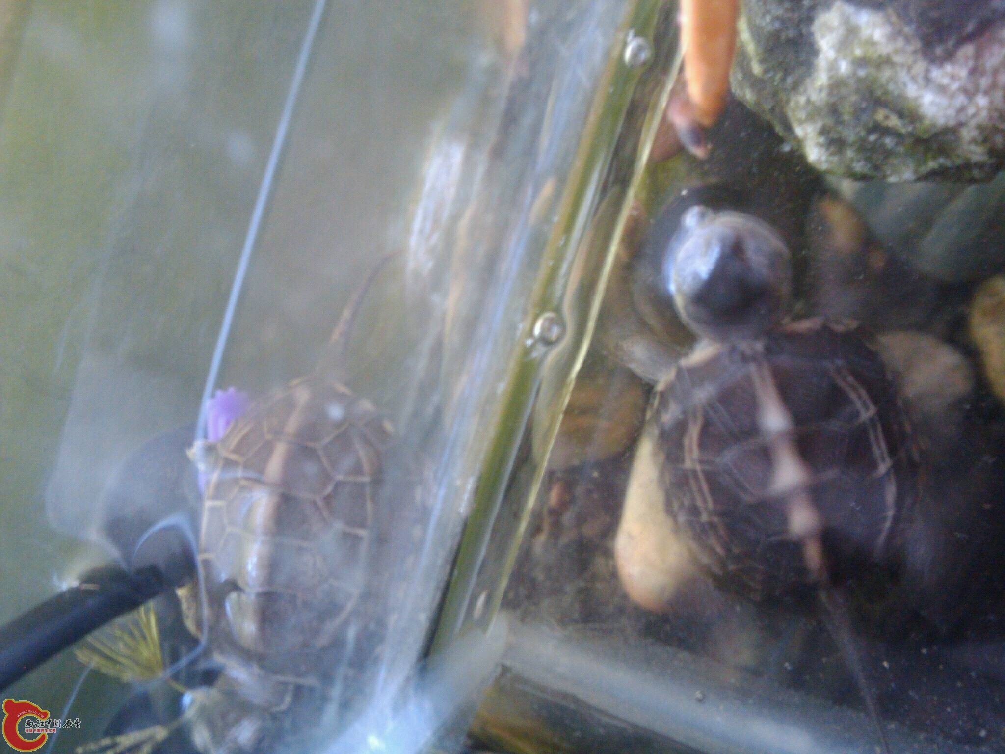 Sept_23_2011_4935.jpg