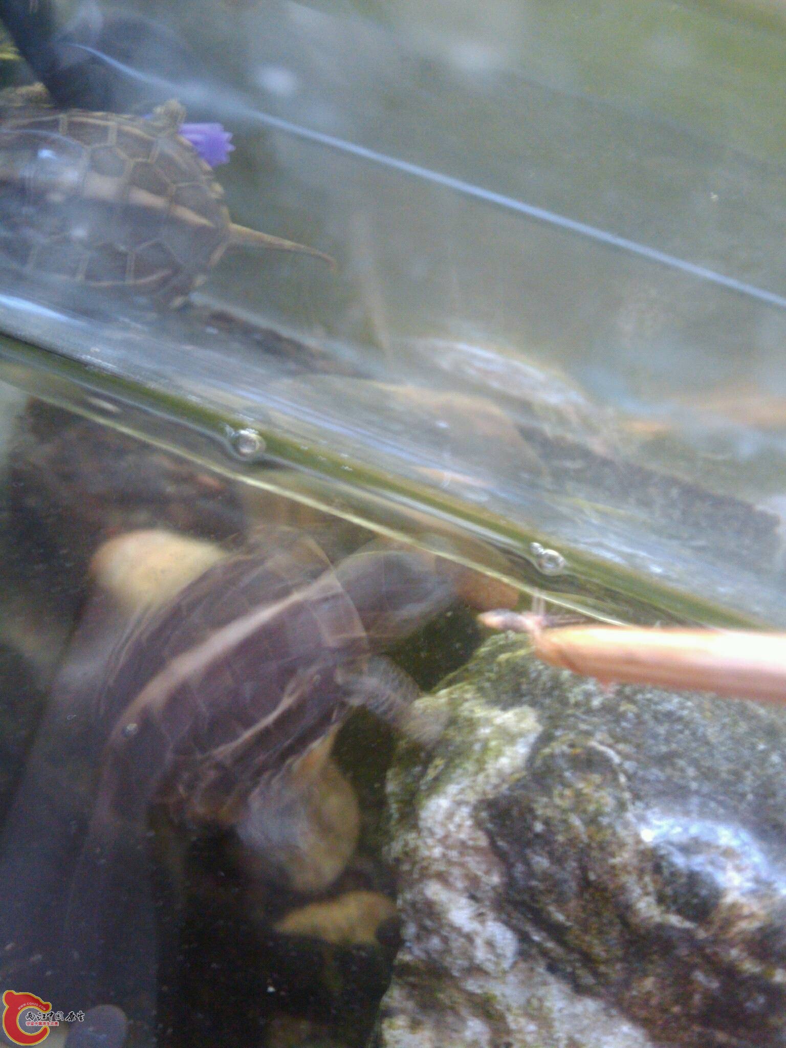 Sept_23_2011_5743.jpg