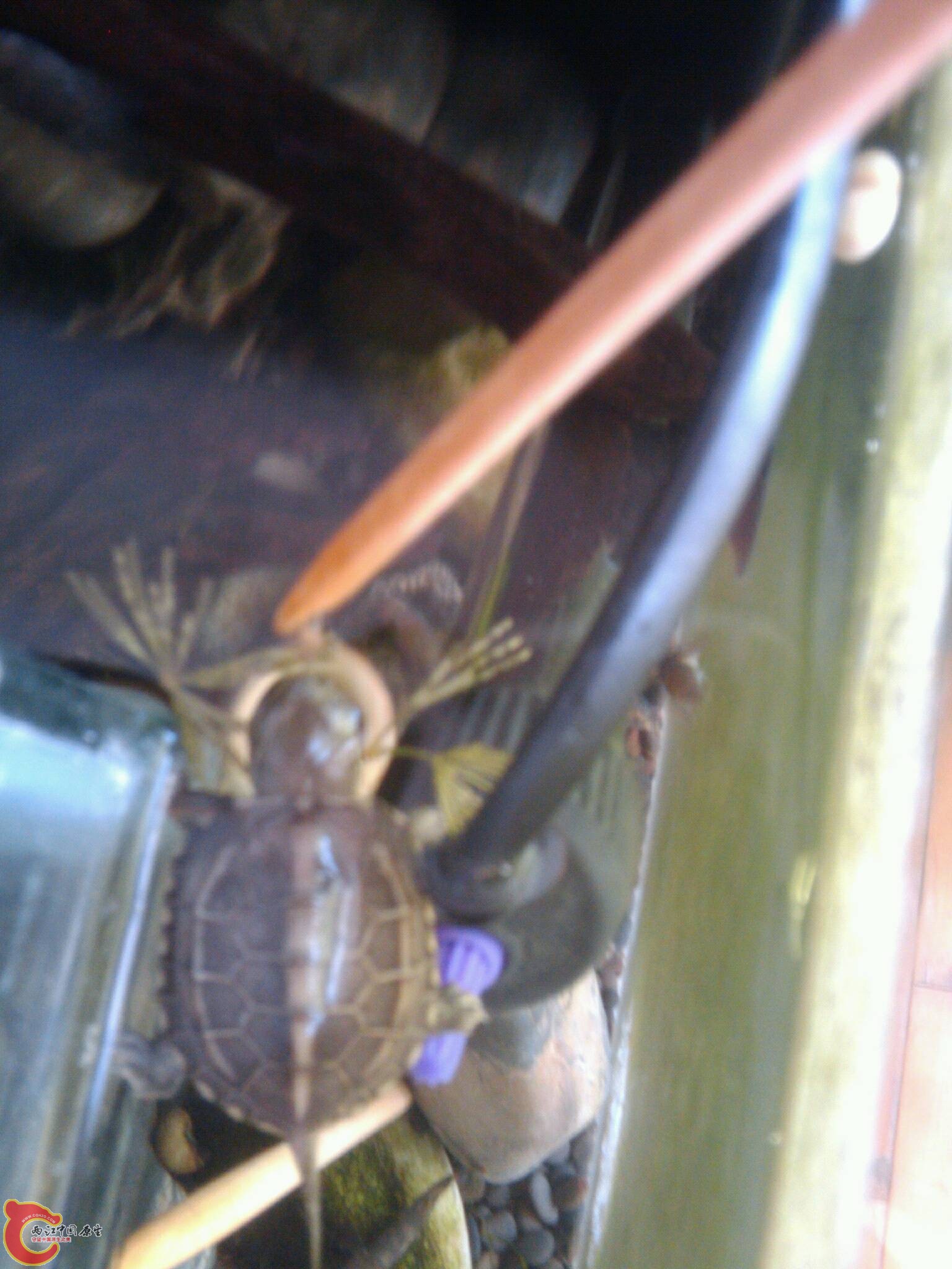 Sept_23_2011_6066.jpg