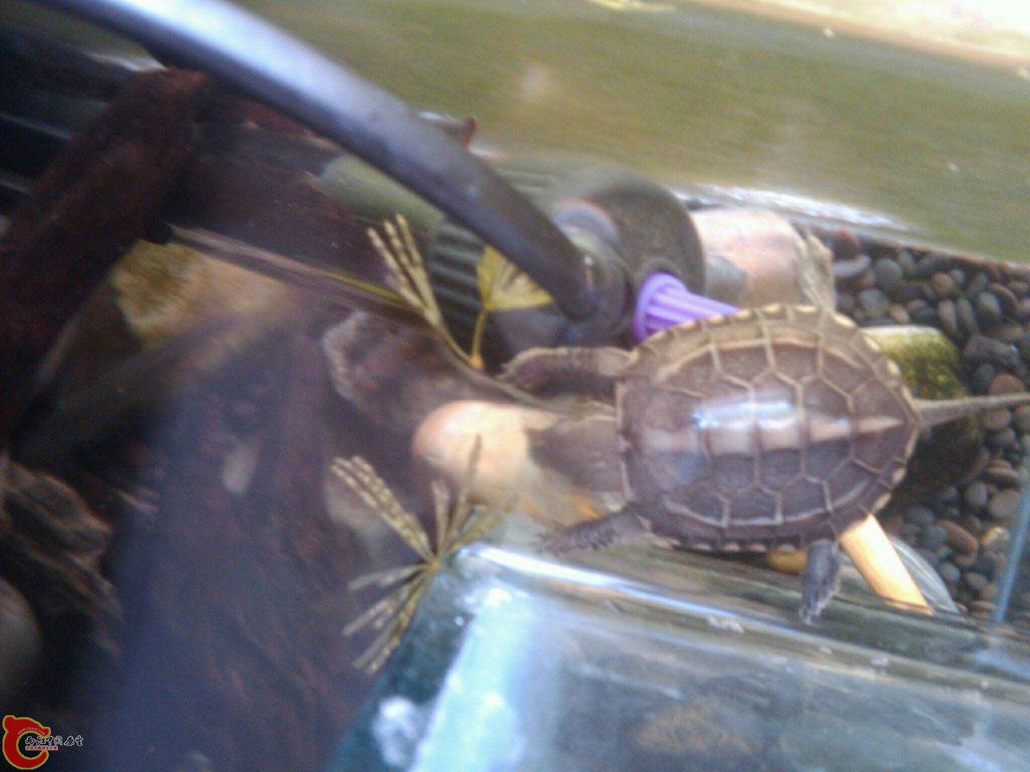 Sept_23_2011_7808.jpg