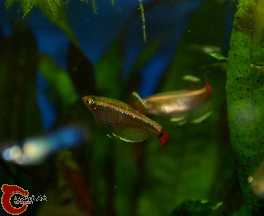 DSC_2544.JPG
