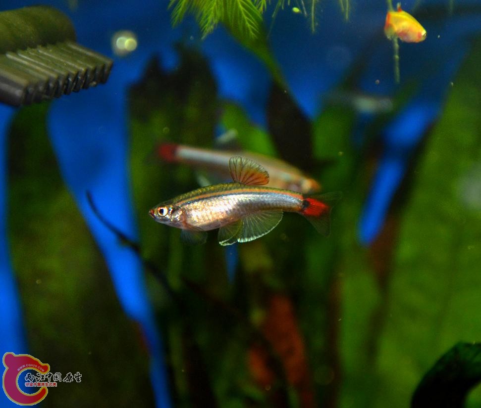 DSC_2546.JPG