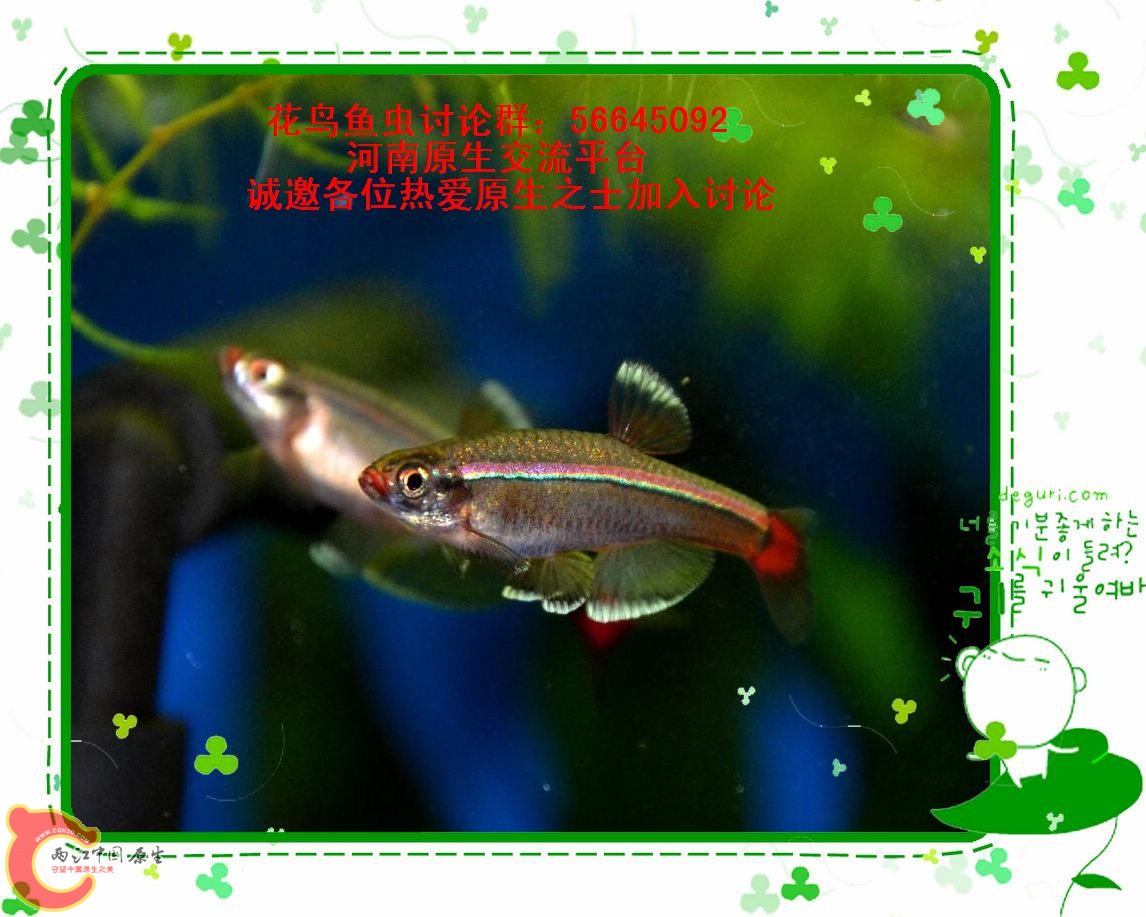 复件 DSC_2552.JPG