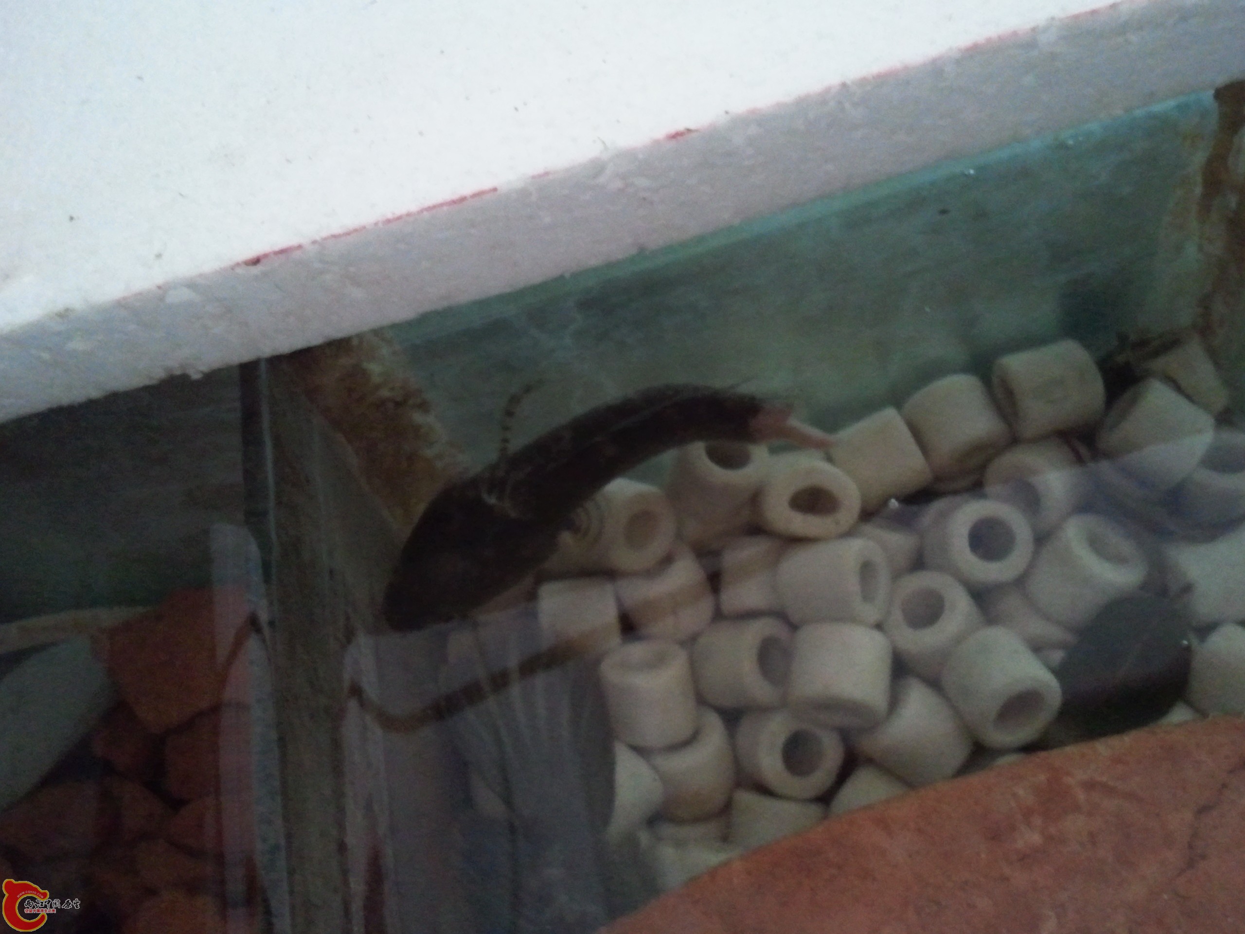 2011-09-07 11.05.38.jpg