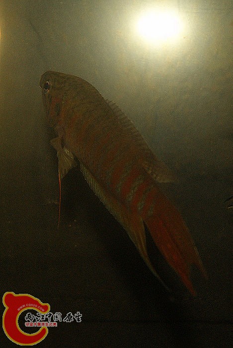 DSC07512.JPG