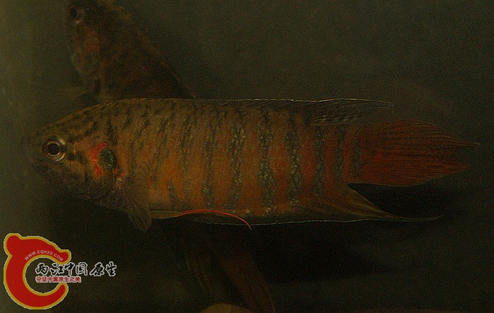 DSC07439.JPG