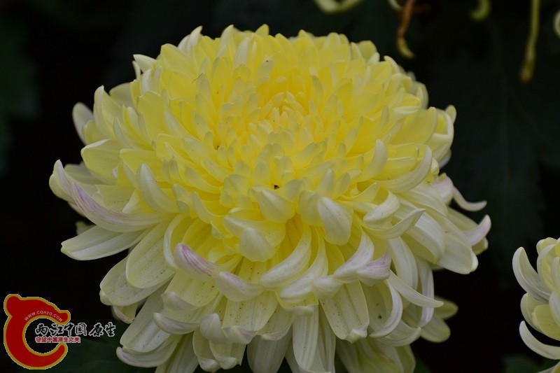 20110925_290.jpg