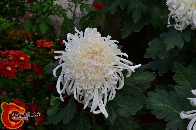 20110925_292.jpg