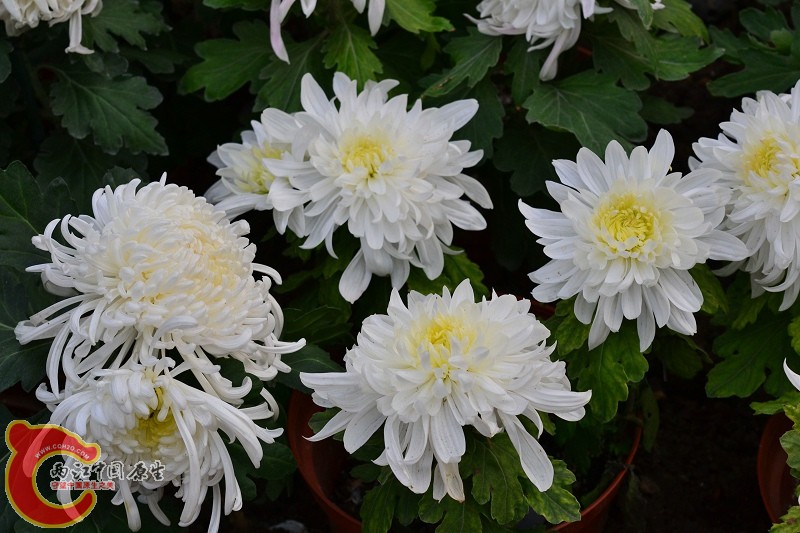 20110925_293.jpg