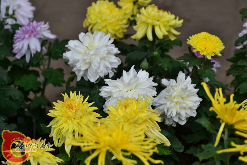 20110925_298.jpg