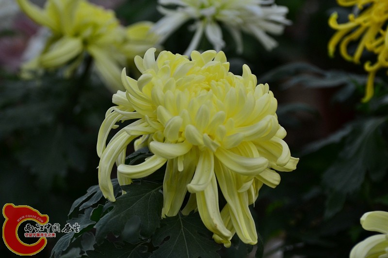 20110925_302.jpg