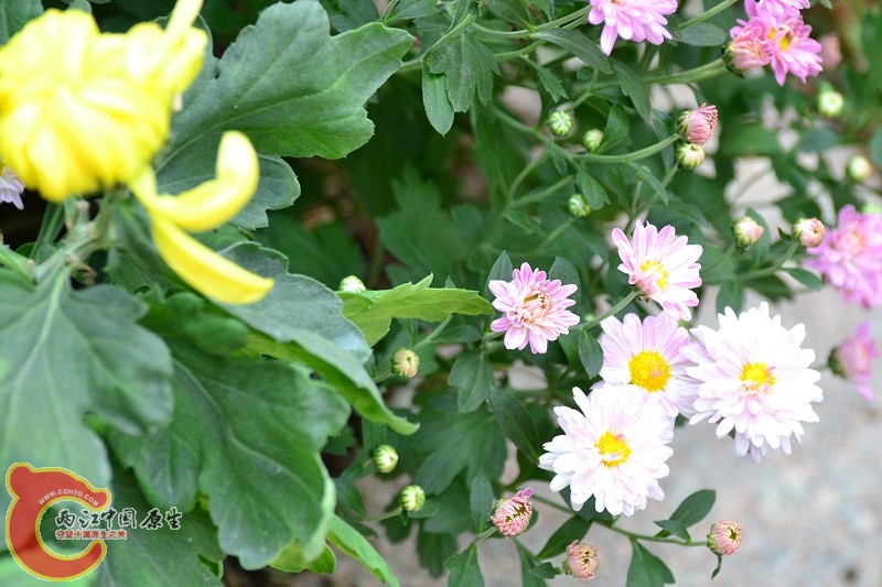 20110925_693.jpg