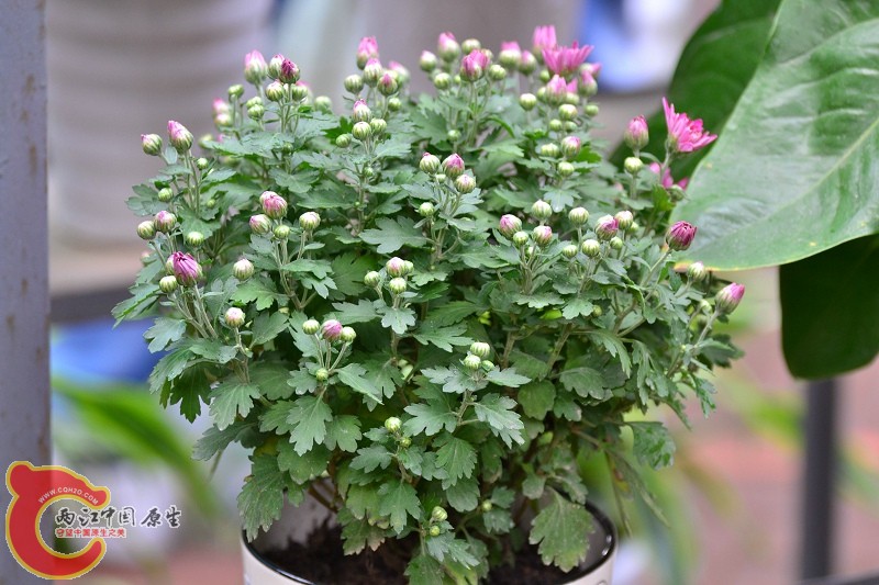 20110925_709.jpg
