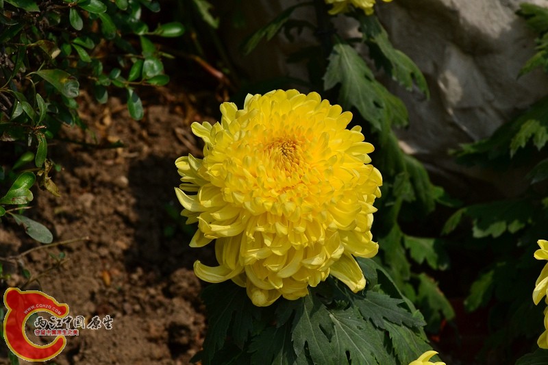 20110925_686.jpg