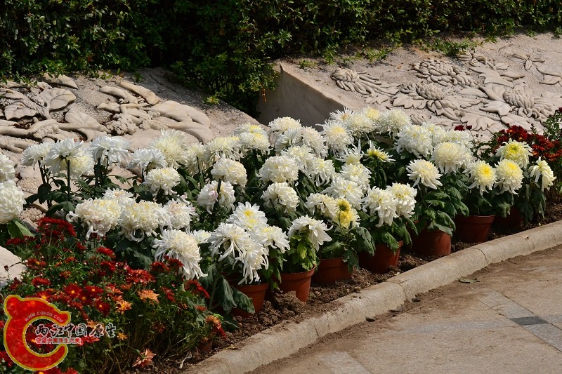 20110925_687.jpg