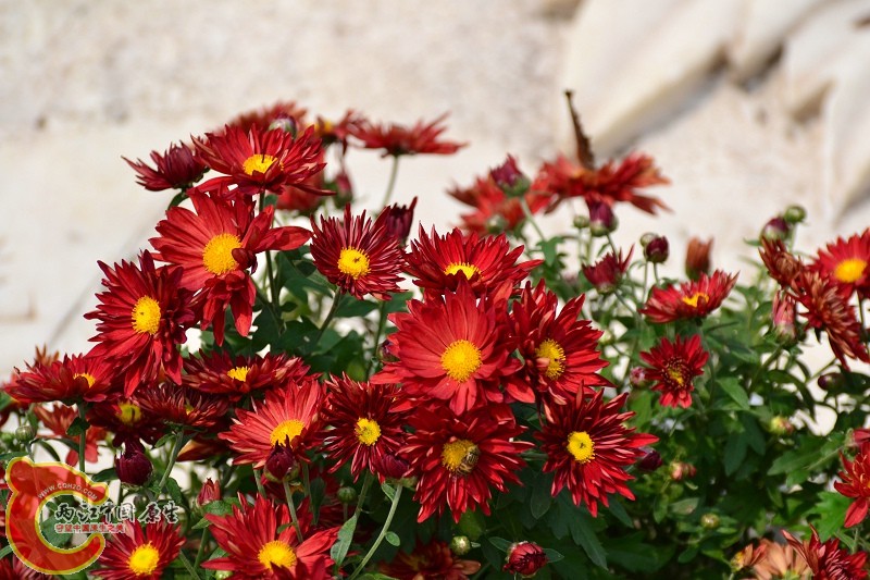 20110925_688.jpg