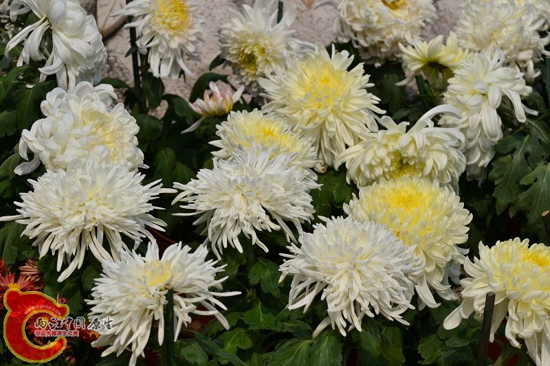 20110925_689.jpg