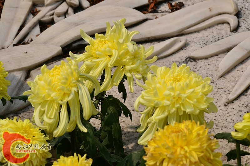 20110925_690.jpg