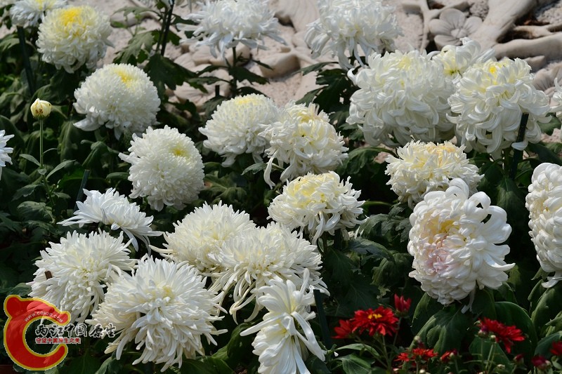 20110925_691.jpg