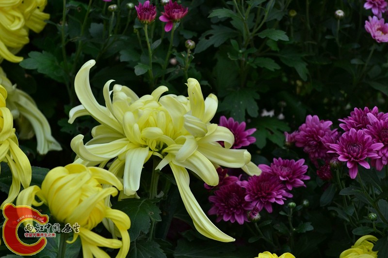 20110925_694.jpg