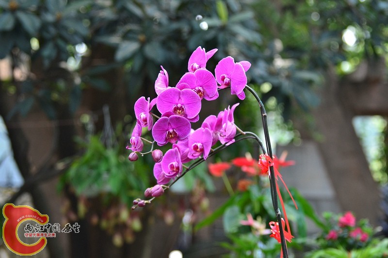 20110925_697.jpg