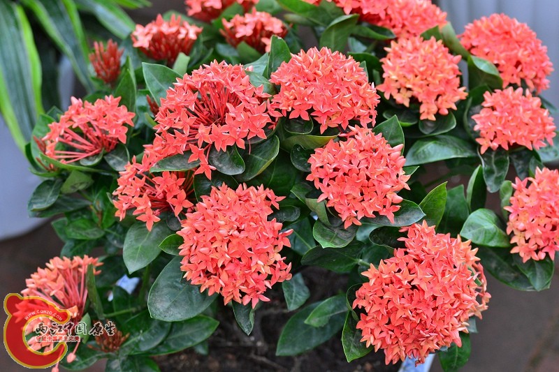 20110925_708.jpg