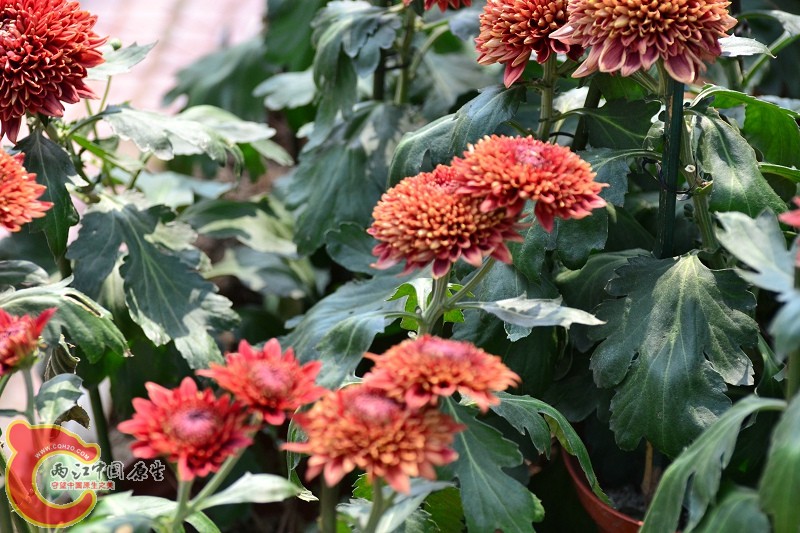 20110925_711.jpg