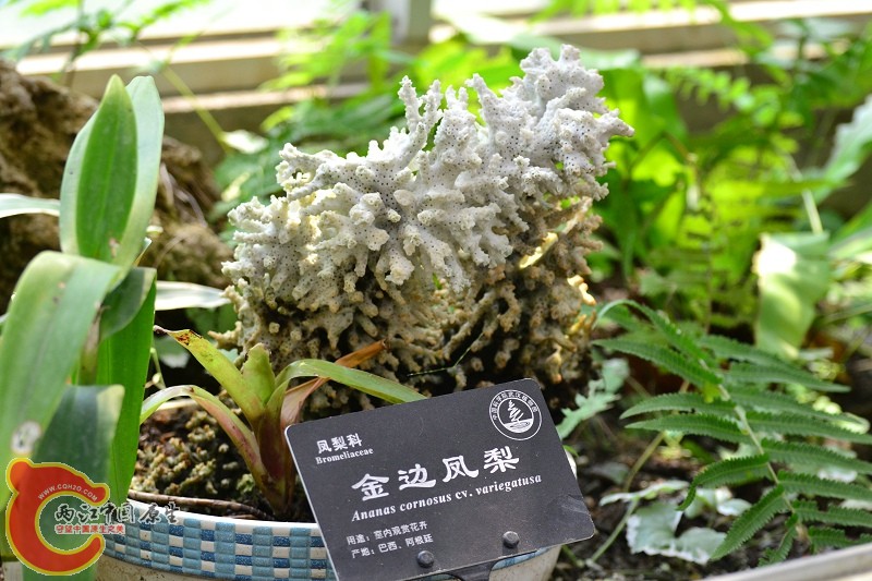 20110925_649.jpg