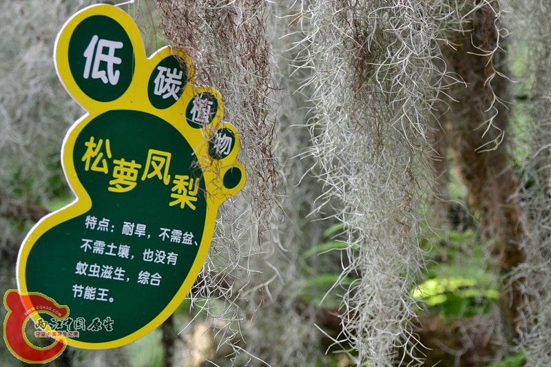 20110925_665.jpg