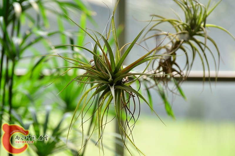 20110925_684.jpg