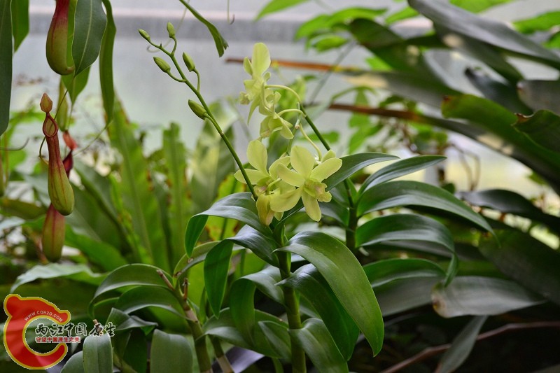 20110925_646.jpg