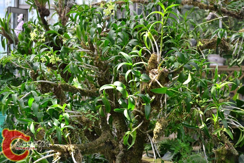 20110925_652.jpg