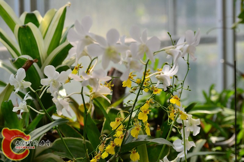 20110925_655.jpg