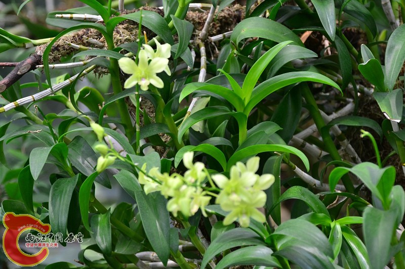 20110925_656.jpg