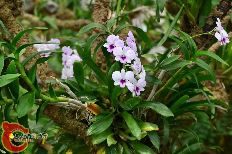 20110925_658.jpg