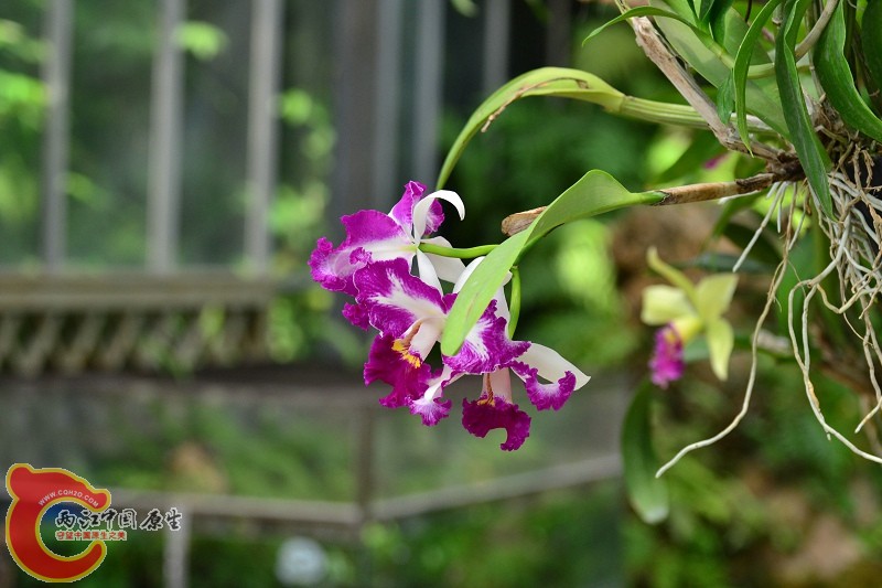 20110925_659.jpg