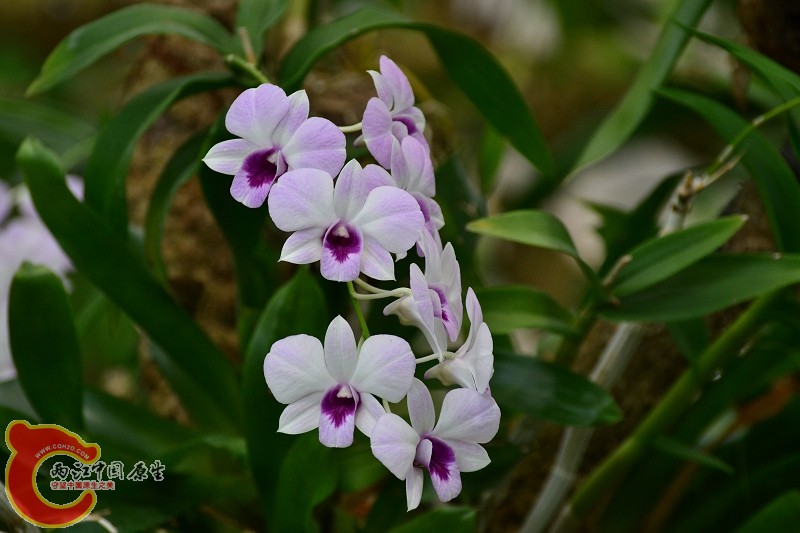 20110925_660.jpg