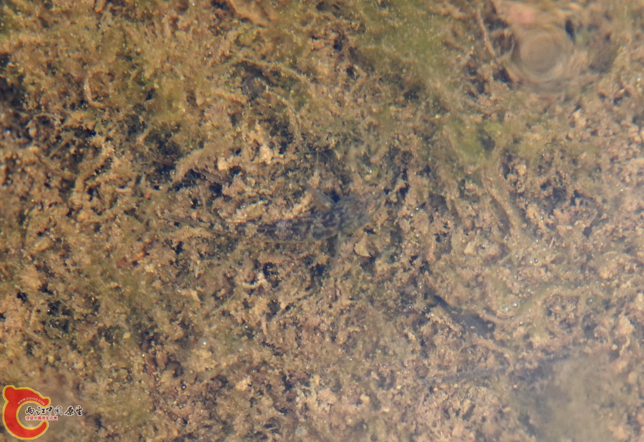 DSC_0804.JPG