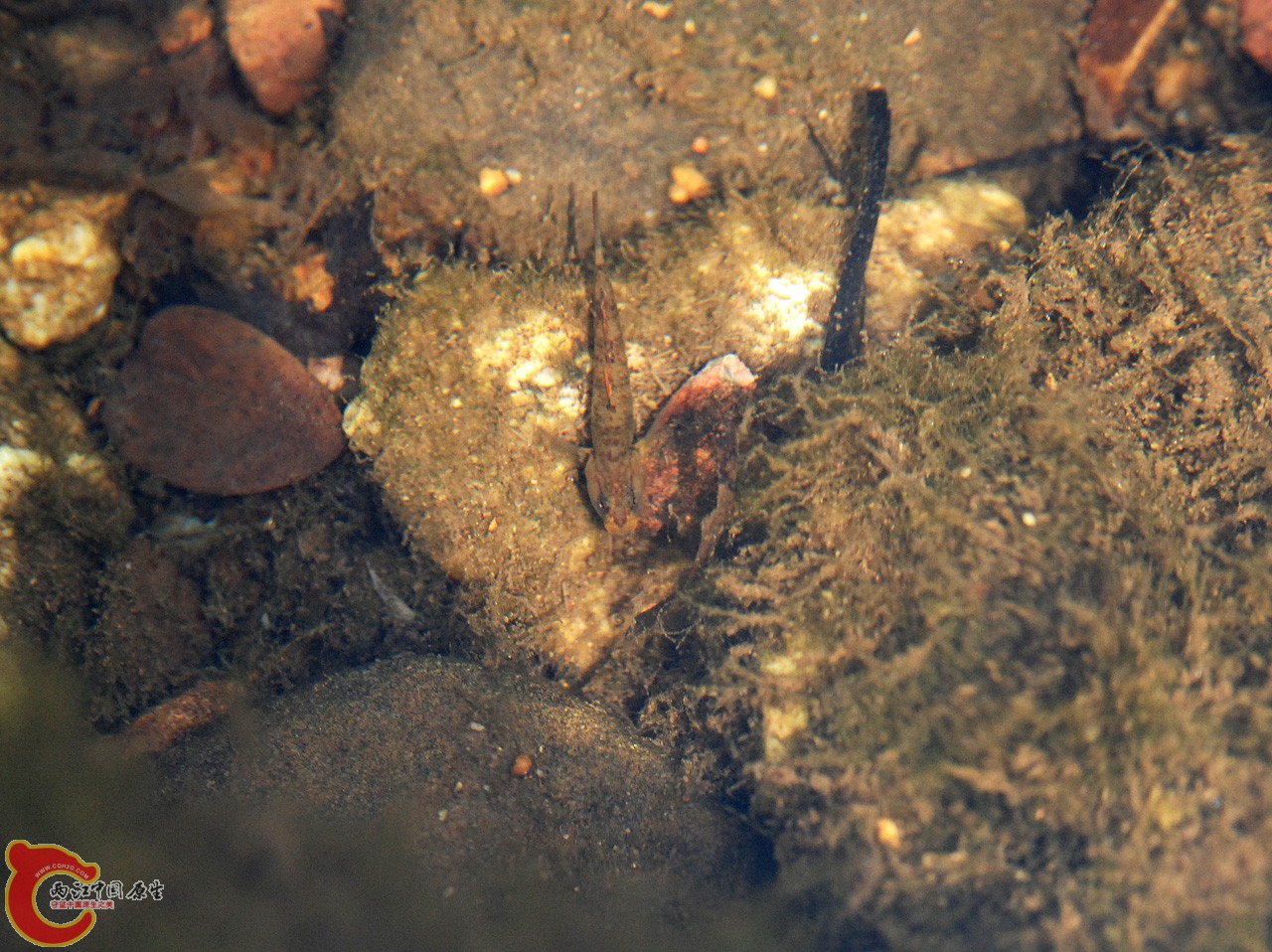 DSC_0807.JPG