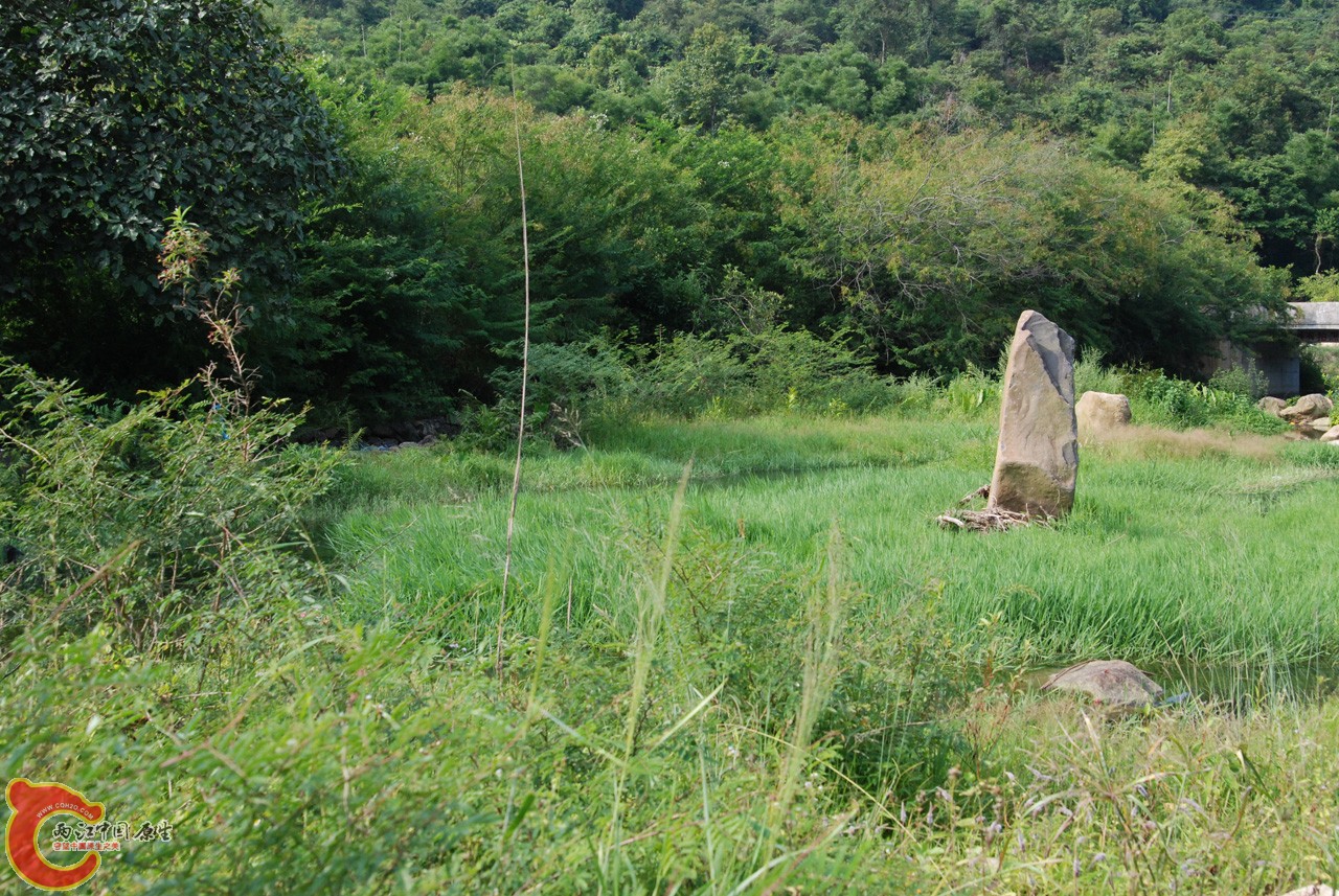 DSC_0820.JPG