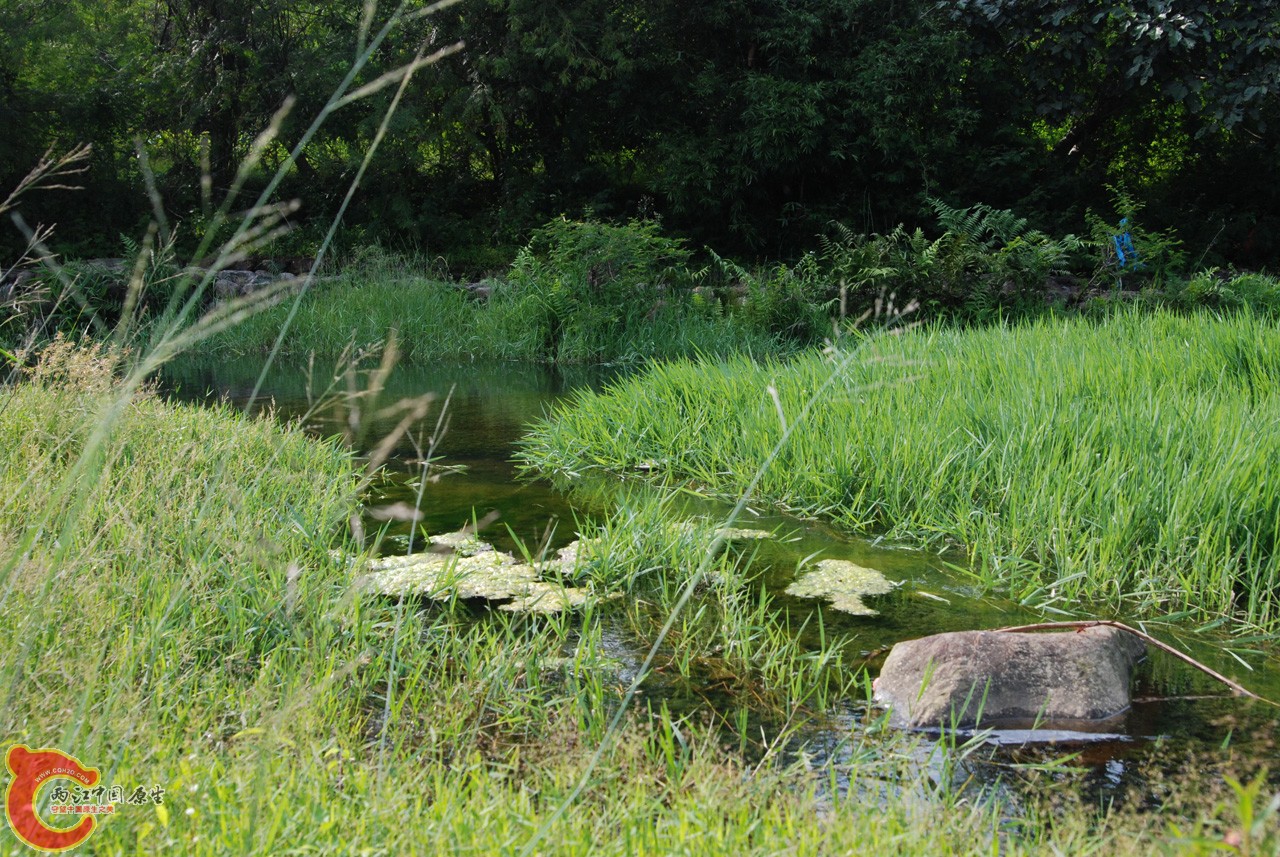 DSC_0822.JPG