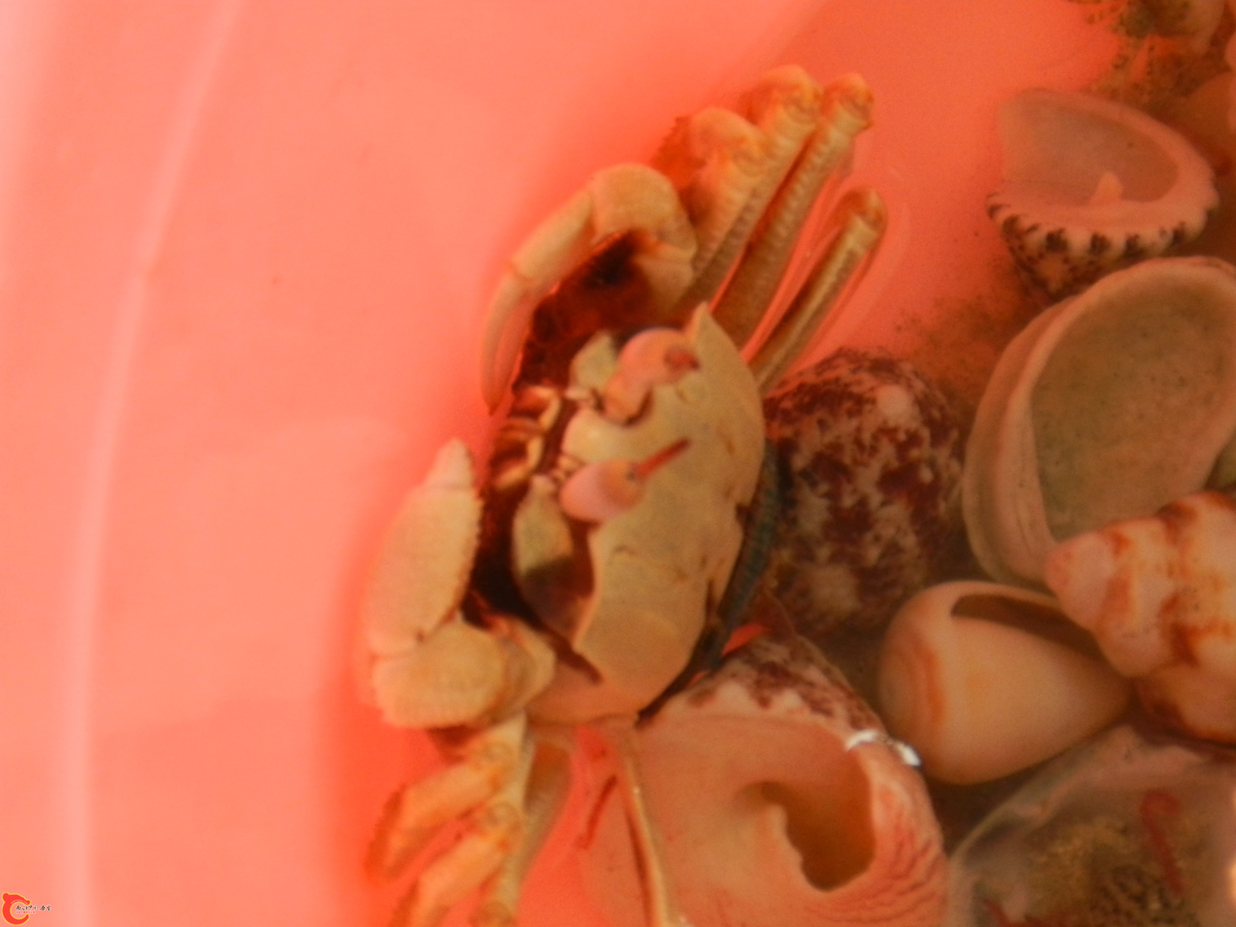 DSCN1720.jpg