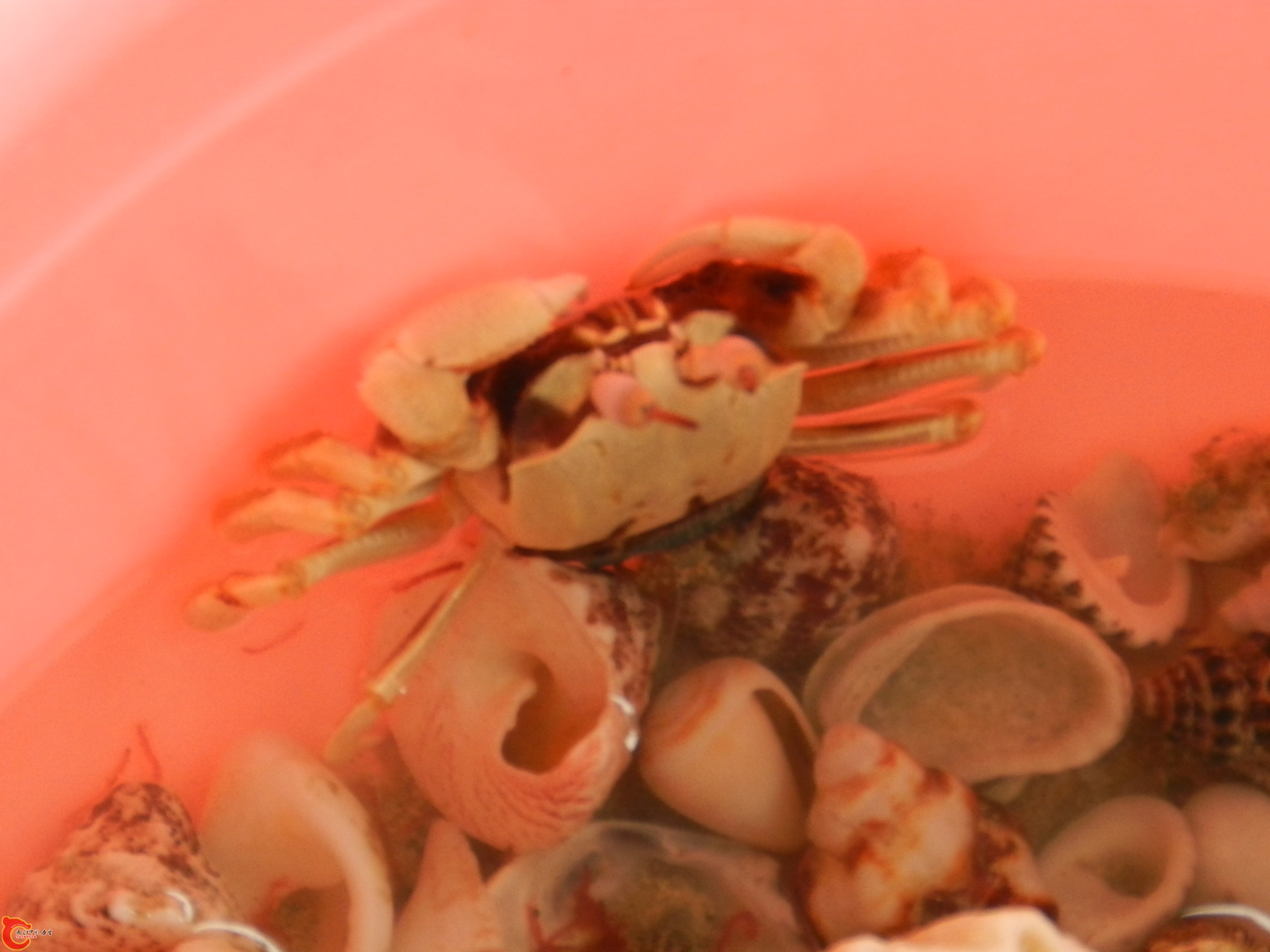 DSCN1722.jpg