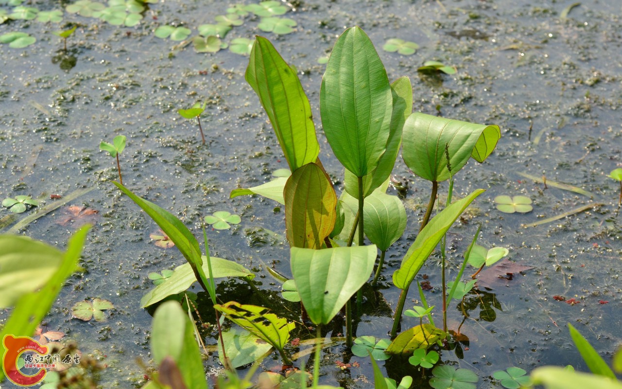 conew_20110925_481.jpg