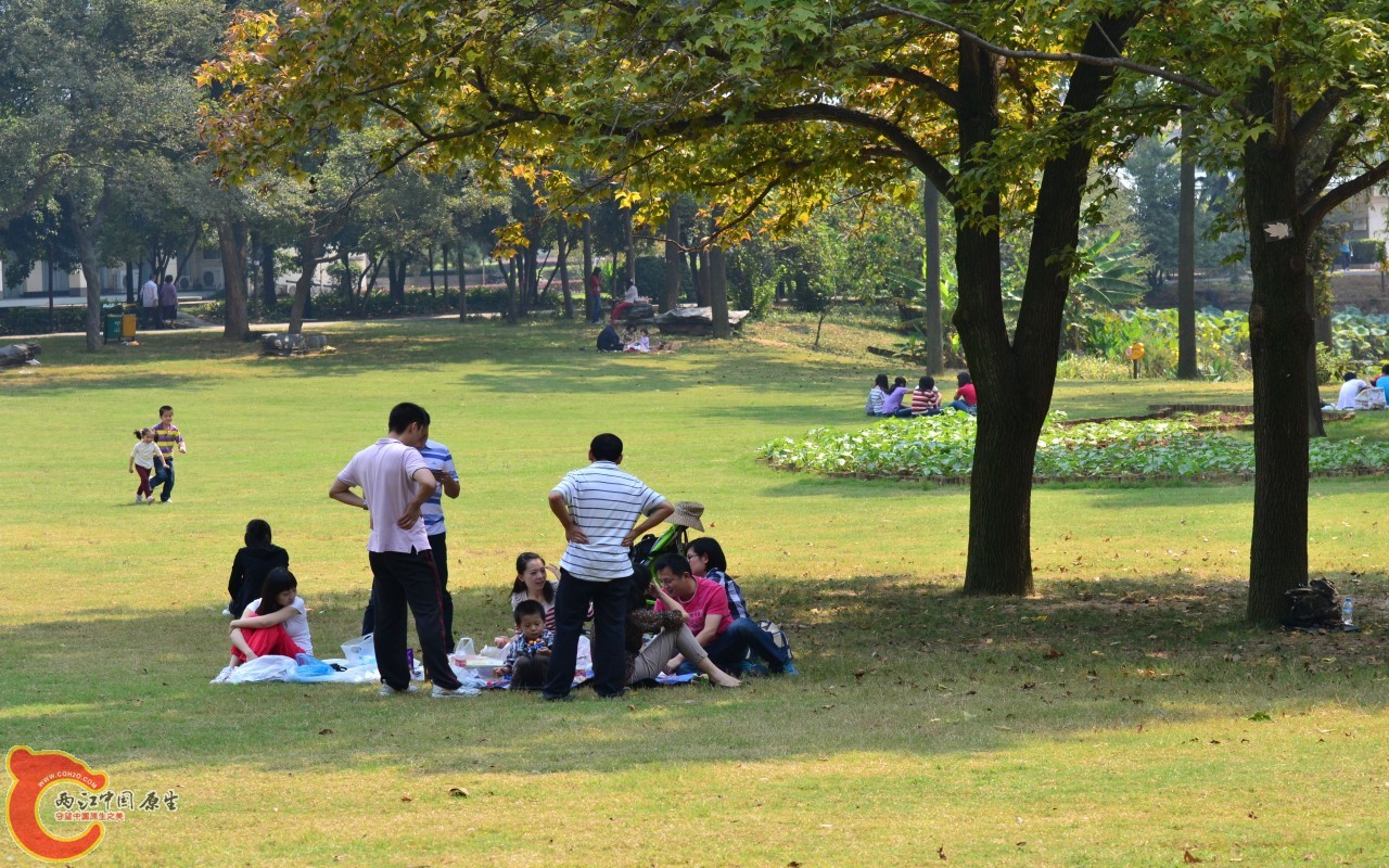 conew_20110925_641.jpg