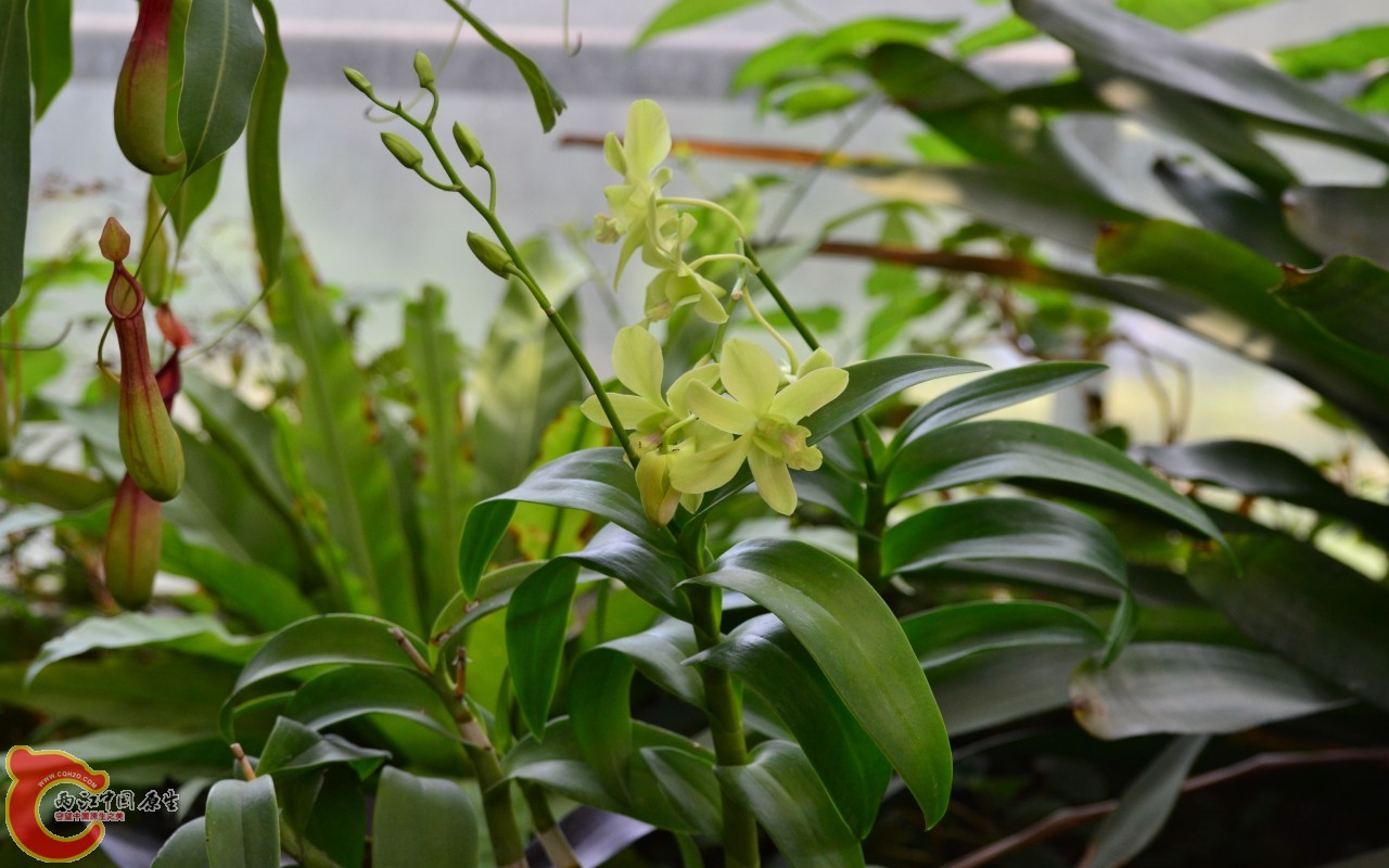 conew_20110925_646.jpg