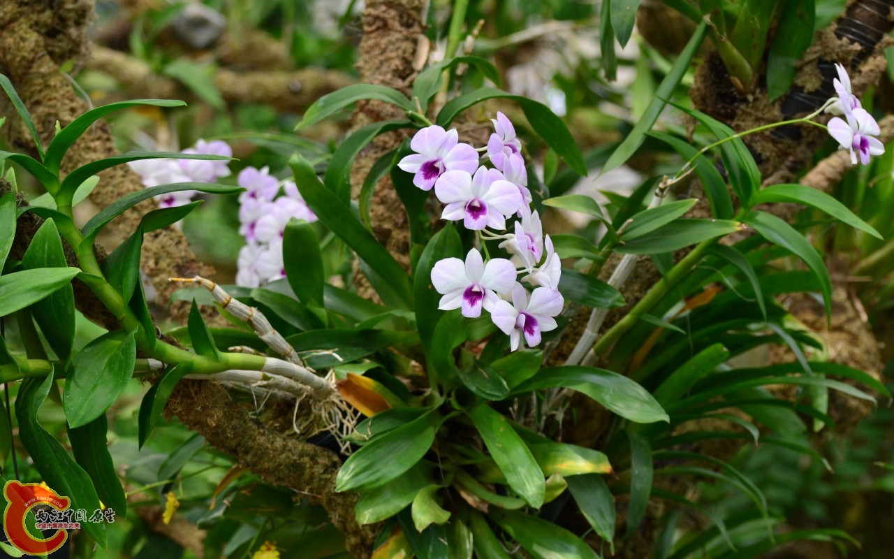 conew_20110925_658.jpg