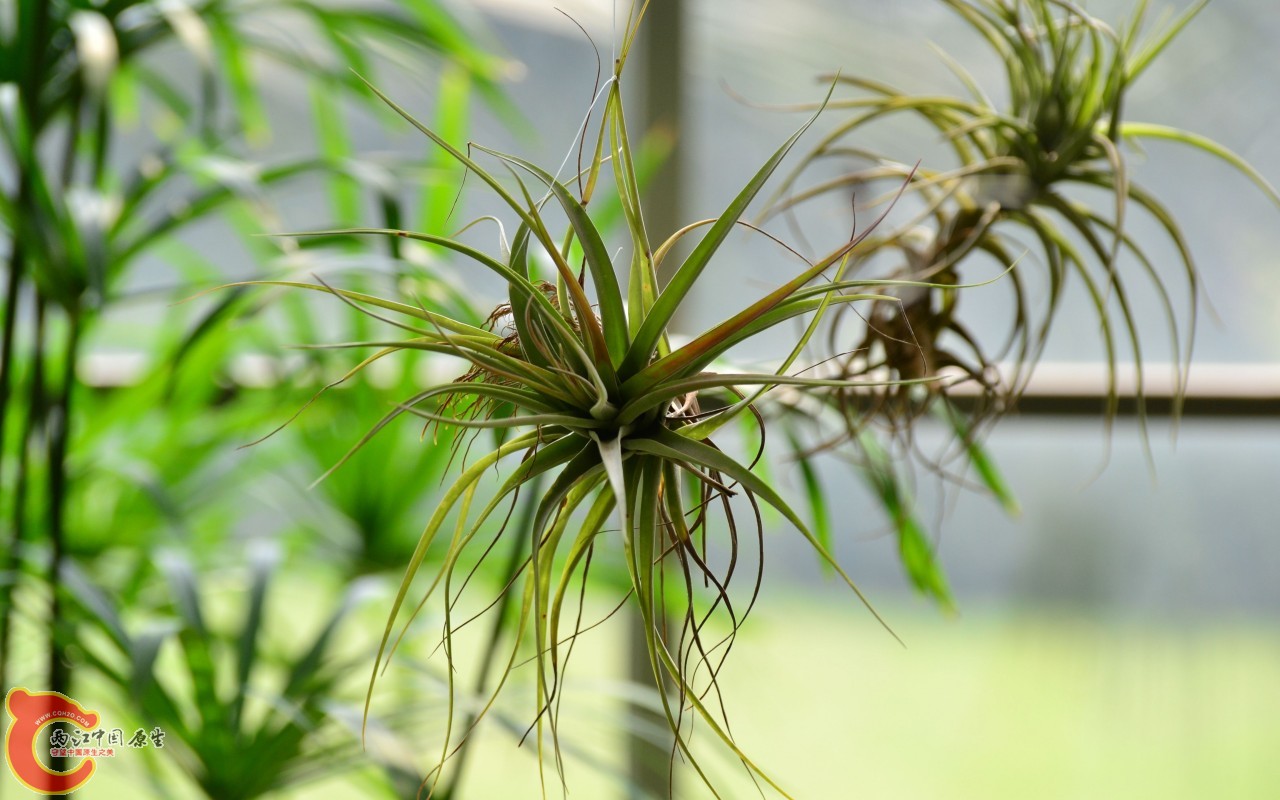 conew_20110925_684.jpg